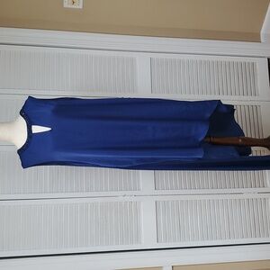 BCBGMaxAzria Nicole Blue Depth Asymmetrical Dress